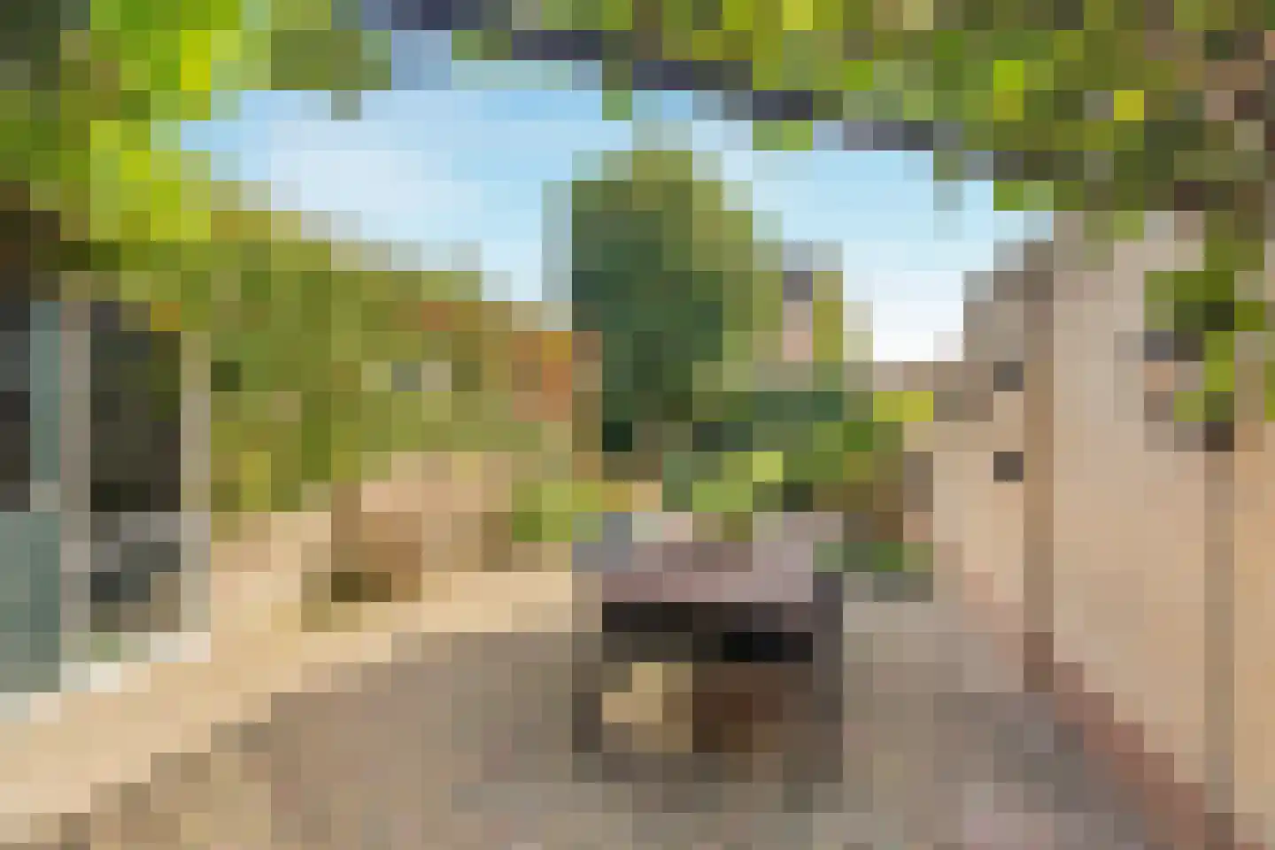 Kerkstraat 33 Giesbeek thumbnail 6
