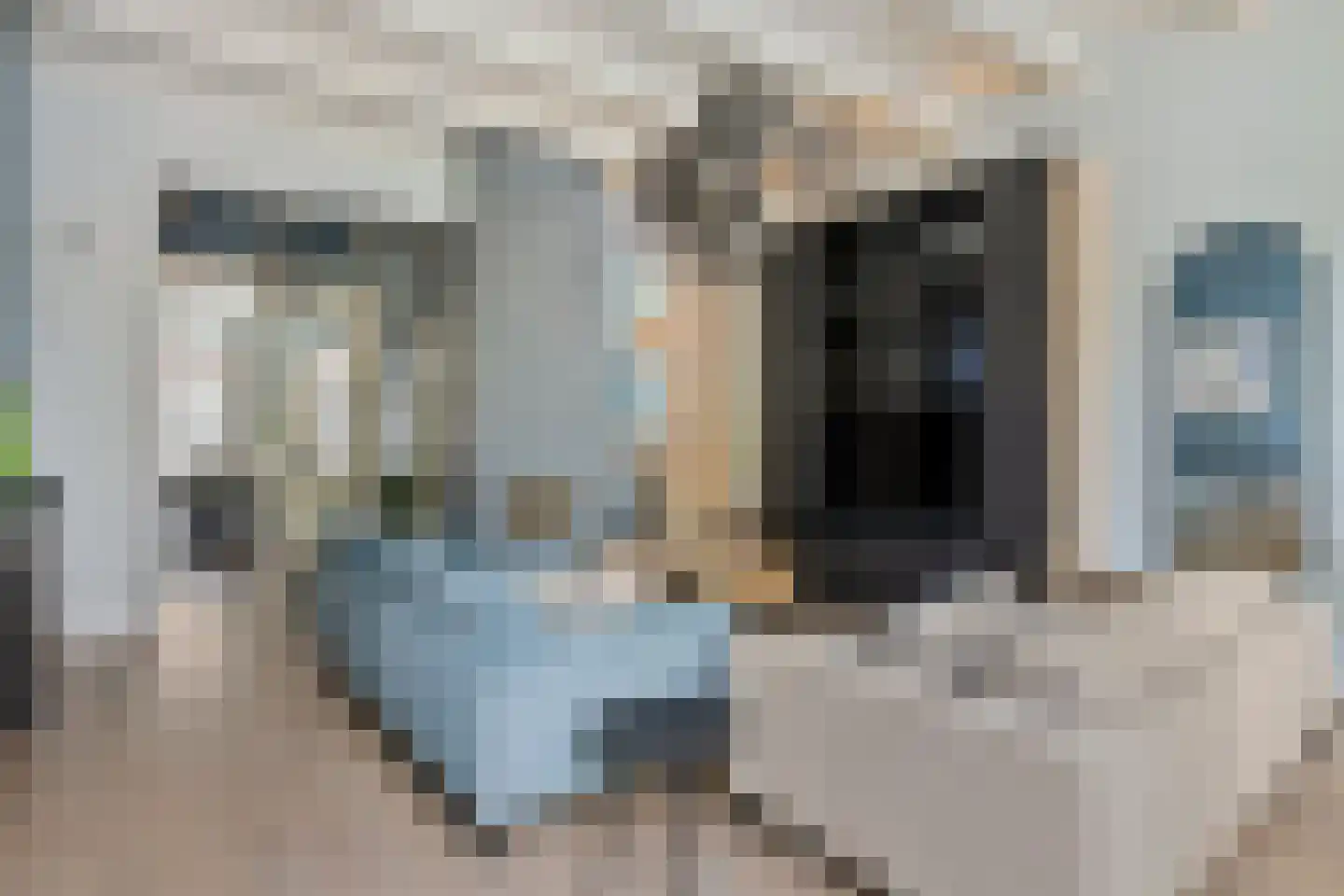 Kerkstraat 33 Monnickendam thumbnail 8