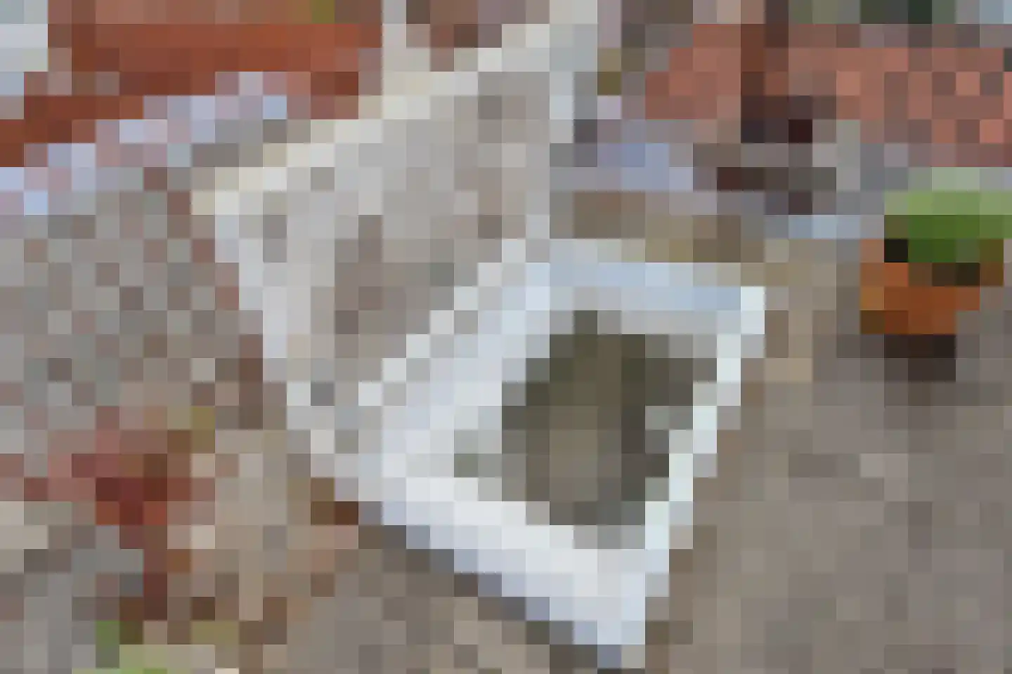 Kerkstraat 33 Voorburg thumbnail 32