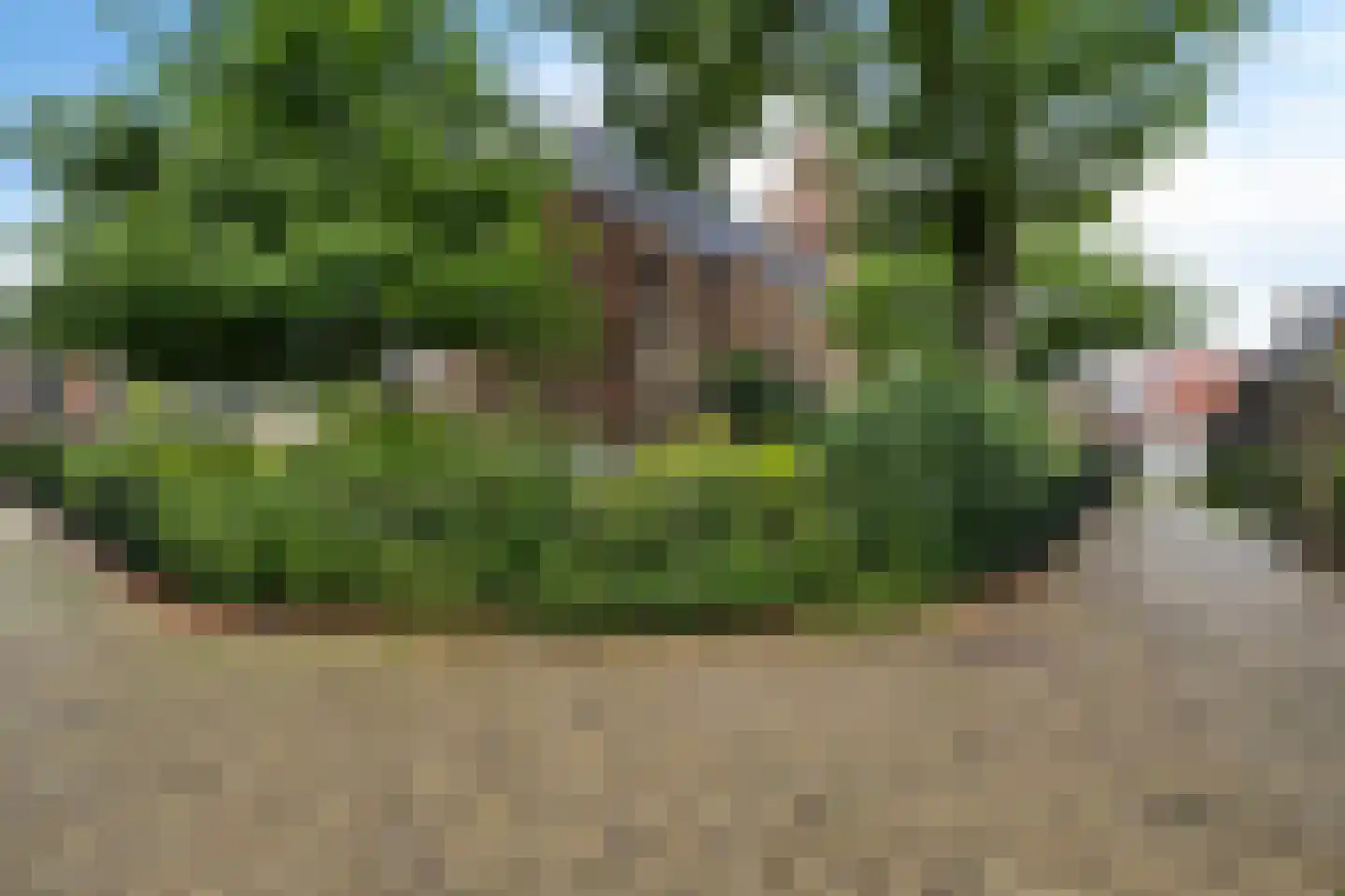 Kerkstraat 34 Grou thumbnail 32