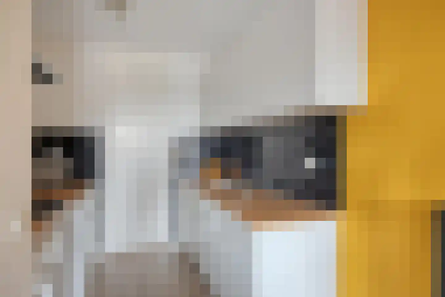 Kerkstraat 34 Oss thumbnail 8