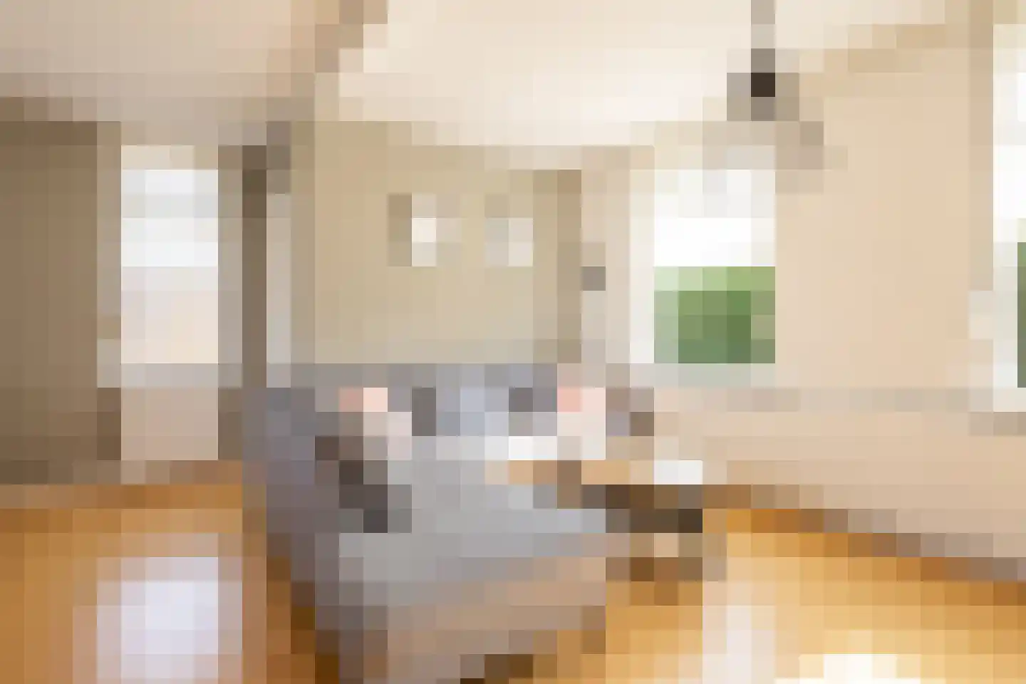 Kerkstraat 34 Vogelwaarde thumbnail 10