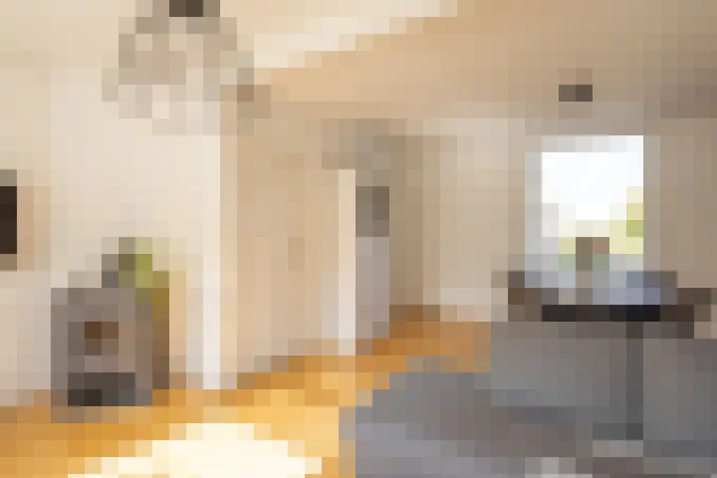 Kerkstraat 34 Vogelwaarde thumbnail 11