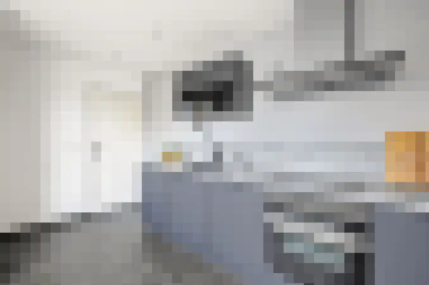 Kerkstraat 34 Vogelwaarde thumbnail 15