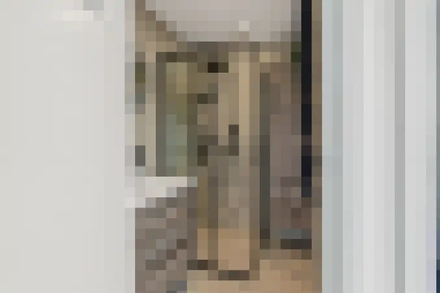 Kerkstraat 34 Vogelwaarde thumbnail 20