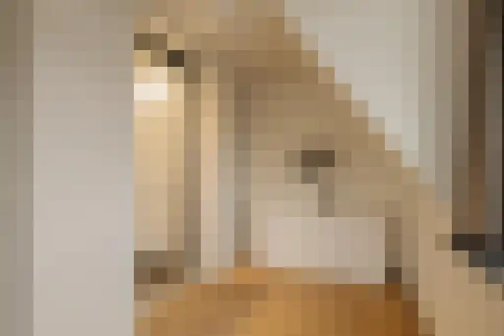 Kerkstraat 34 Wassenaar thumbnail 5