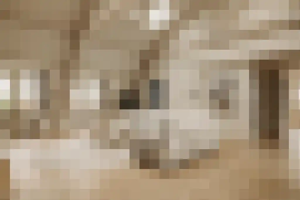Kerkstraat 34 Wassenaar thumbnail 8