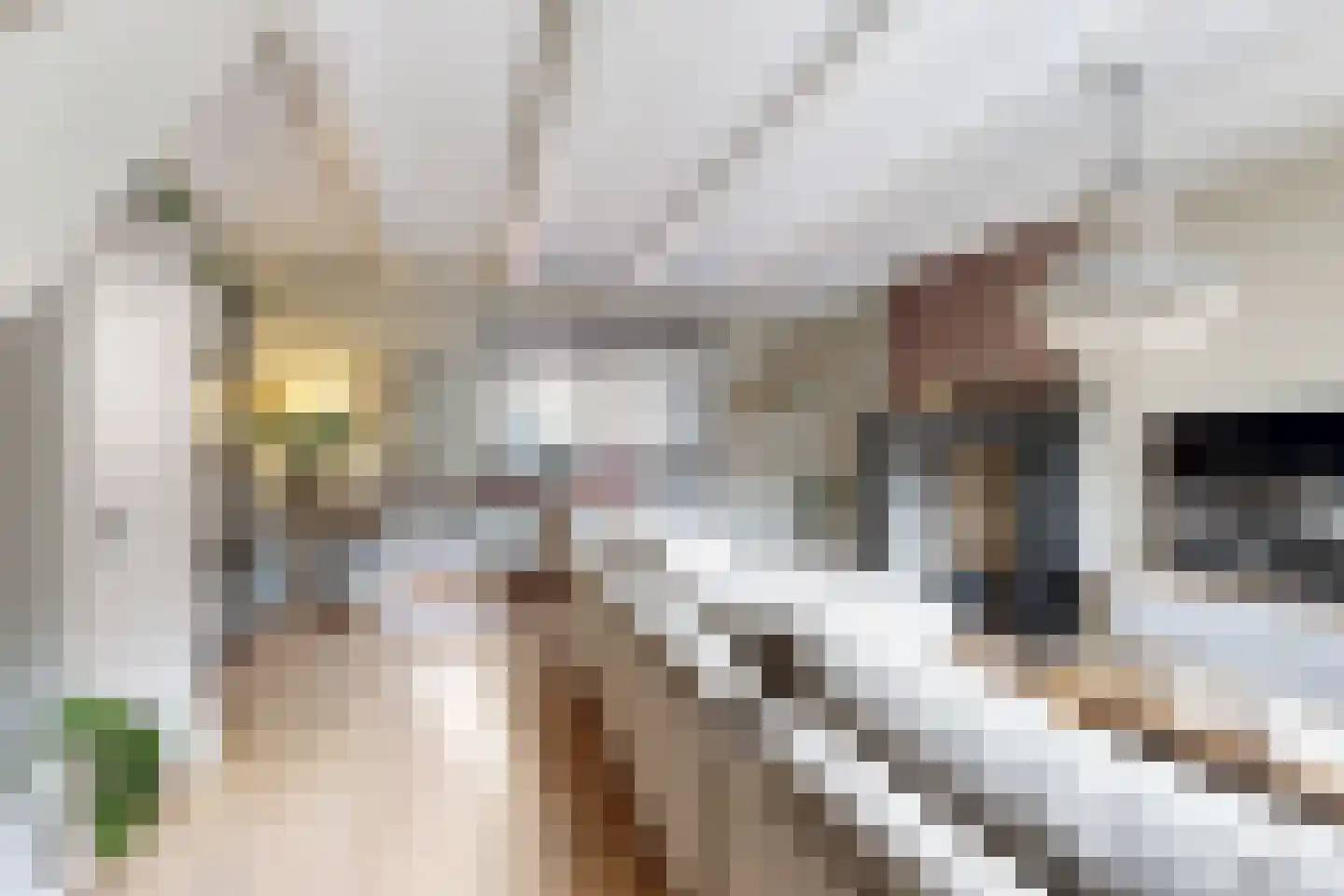 Kerkstraat 34 Zevenbergen thumbnail 16