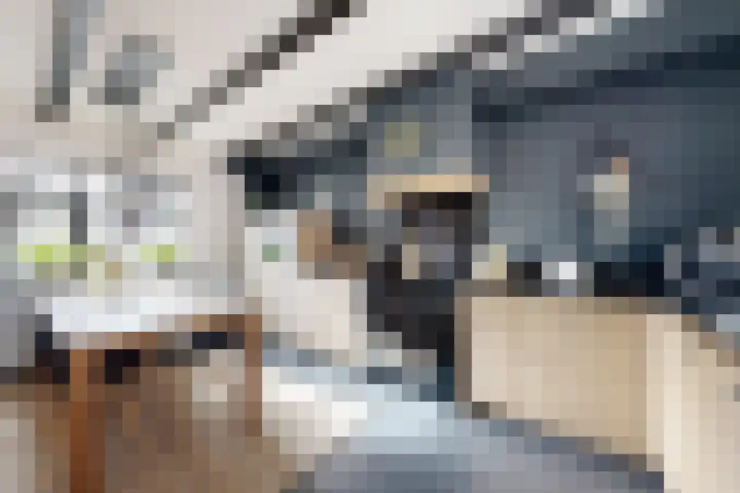 Kerkstraat 34 Zevenbergen thumbnail 19