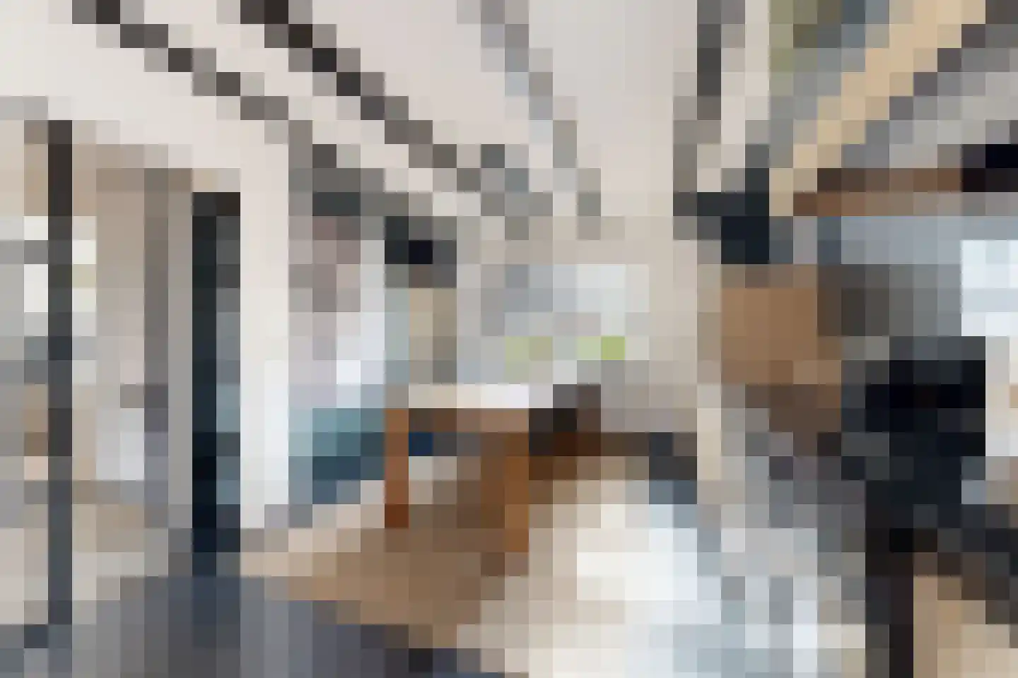 Kerkstraat 34 Zevenbergen thumbnail 20