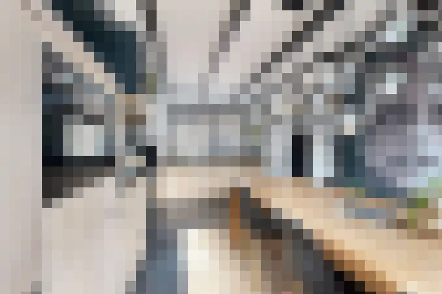 Kerkstraat 34 Zevenbergen thumbnail 24
