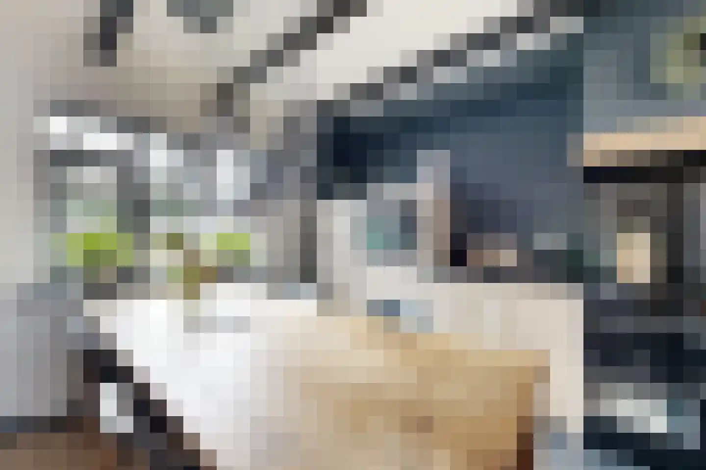 Kerkstraat 34 Zevenbergen thumbnail 26