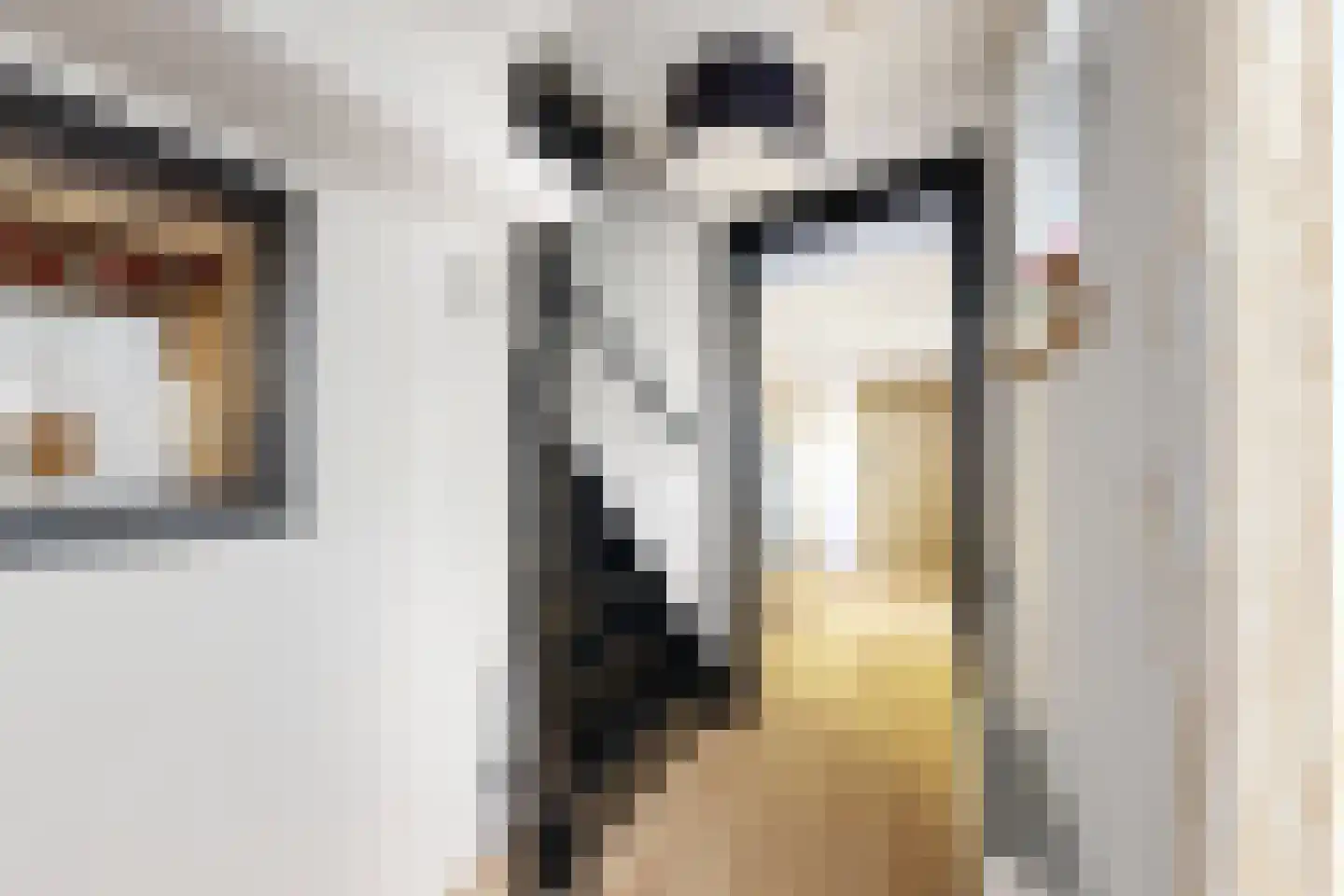 Kerkstraat 34 Zevenbergen thumbnail 29