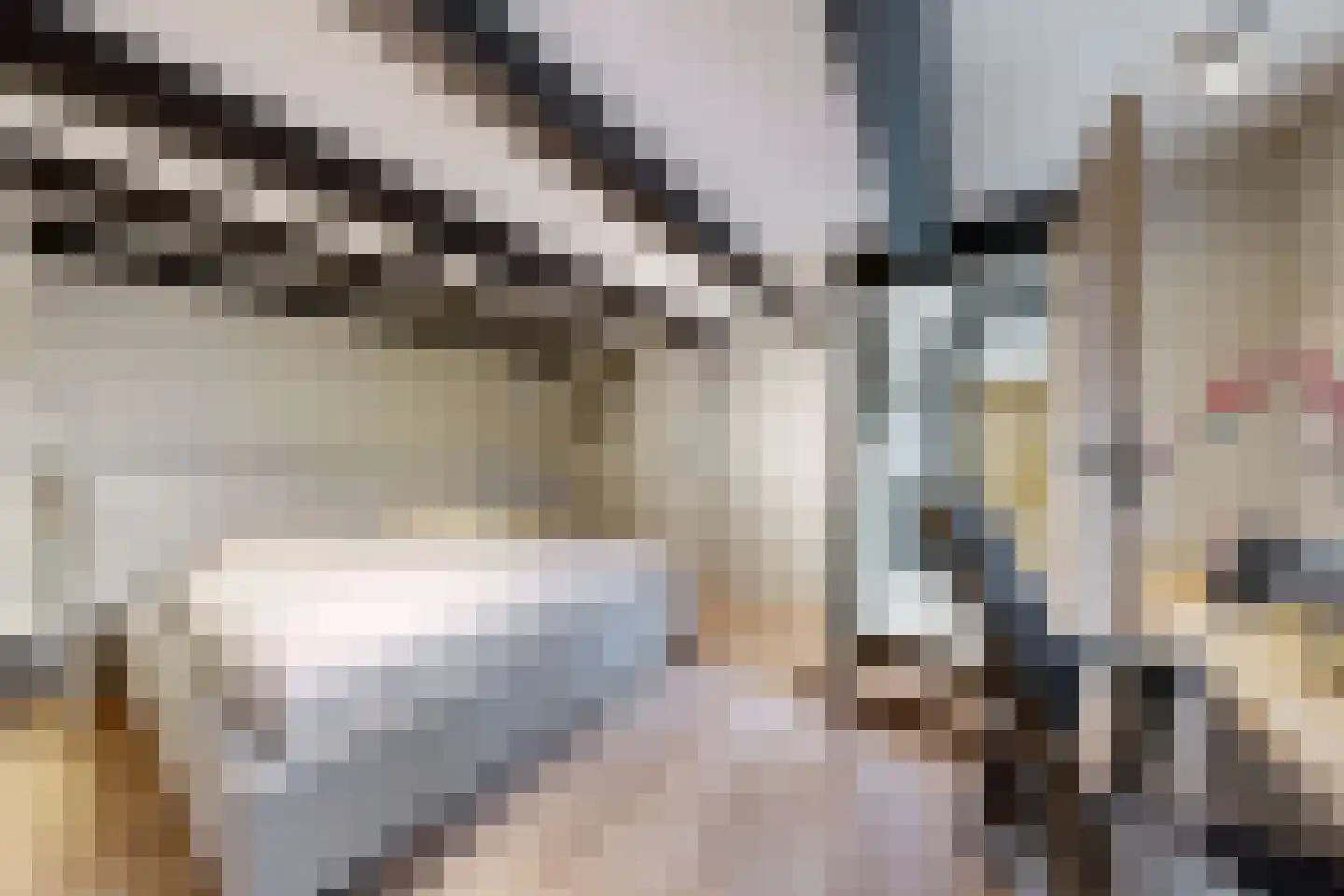 Kerkstraat 34 Zevenbergen thumbnail 31
