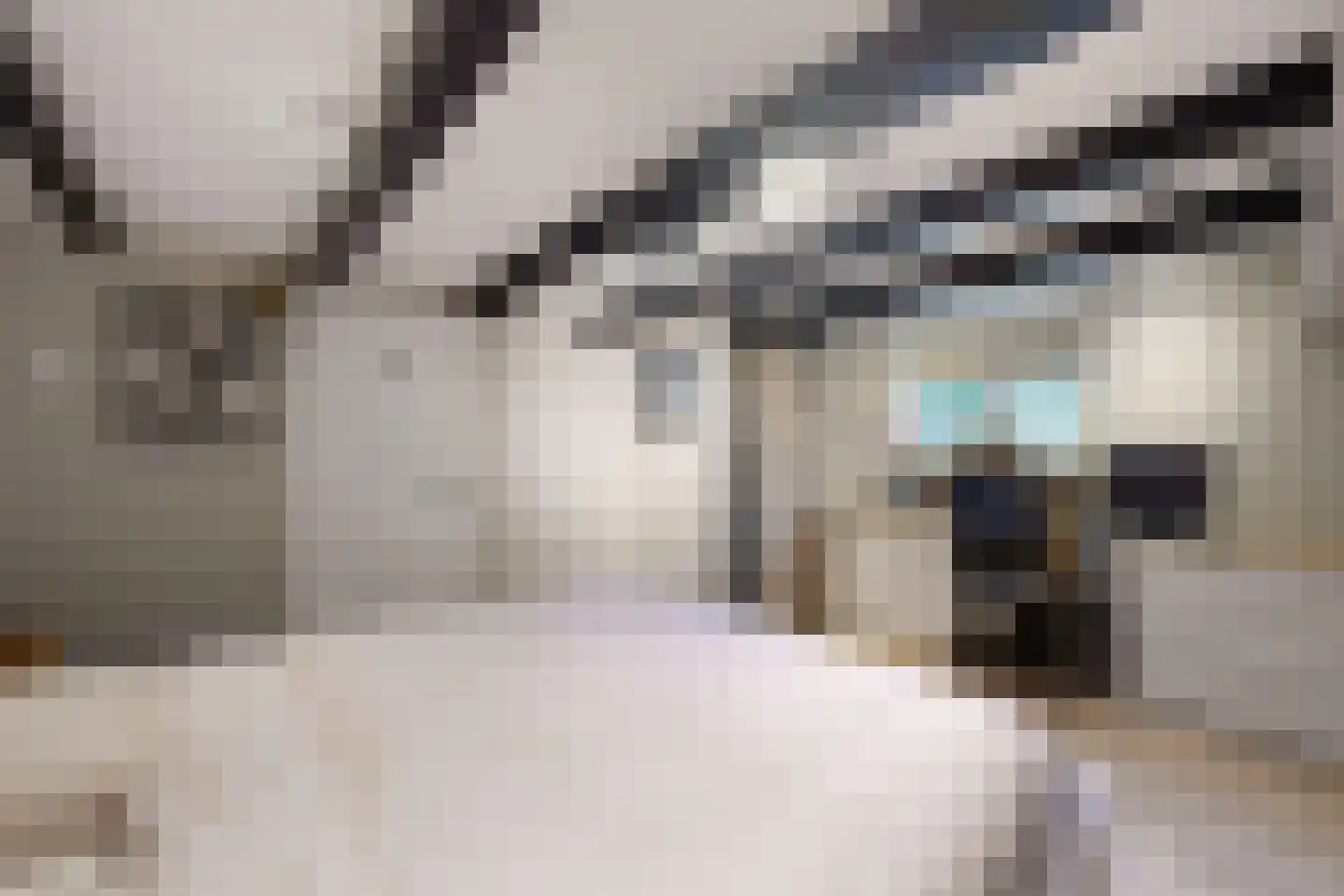 Kerkstraat 34 Zevenbergen thumbnail 33