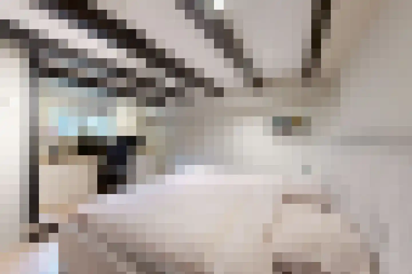 Kerkstraat 34 Zevenbergen thumbnail 34