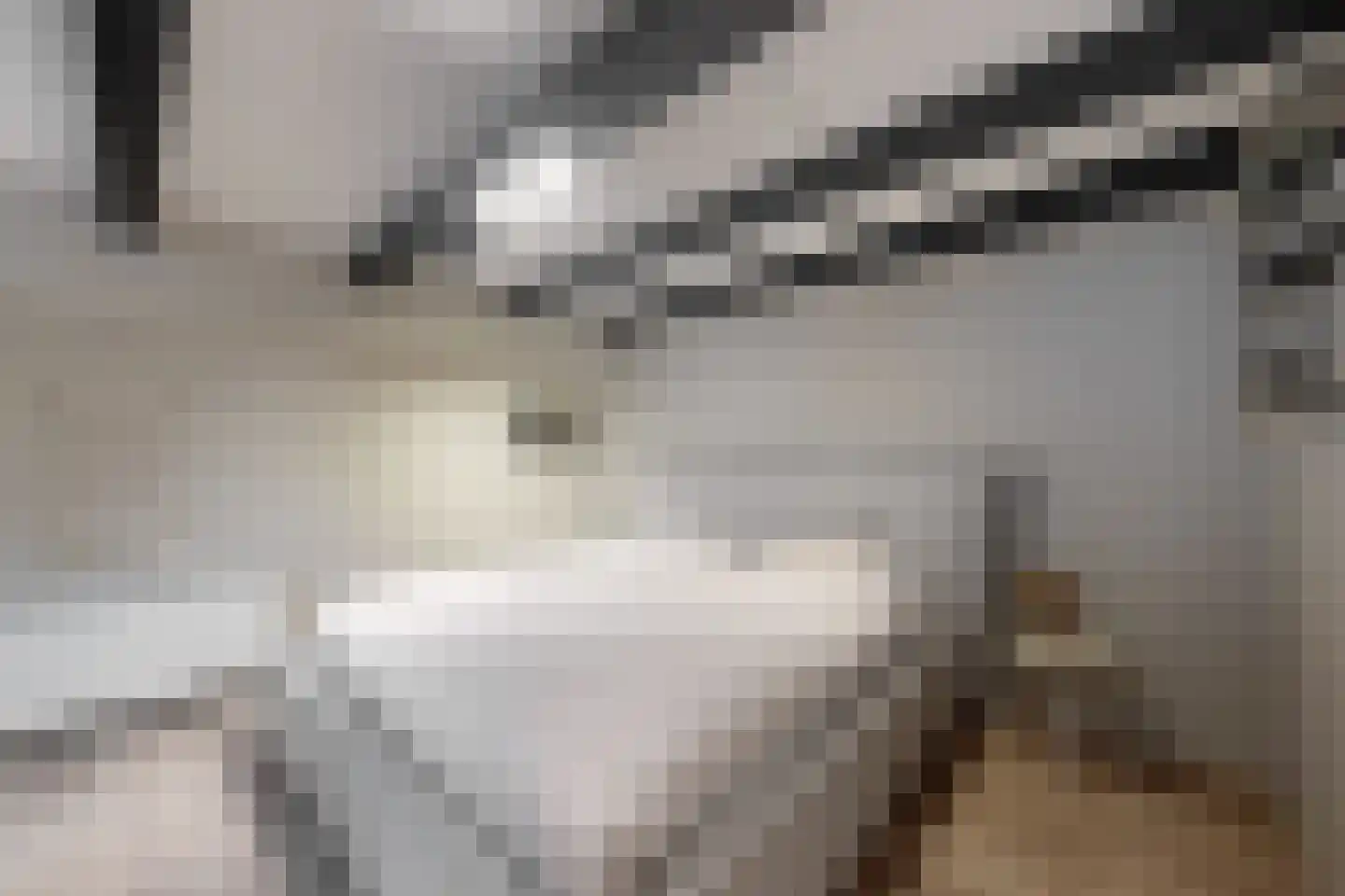 Kerkstraat 34 Zevenbergen thumbnail 36