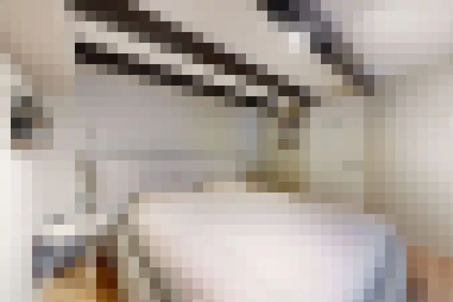Kerkstraat 34 Zevenbergen thumbnail 37