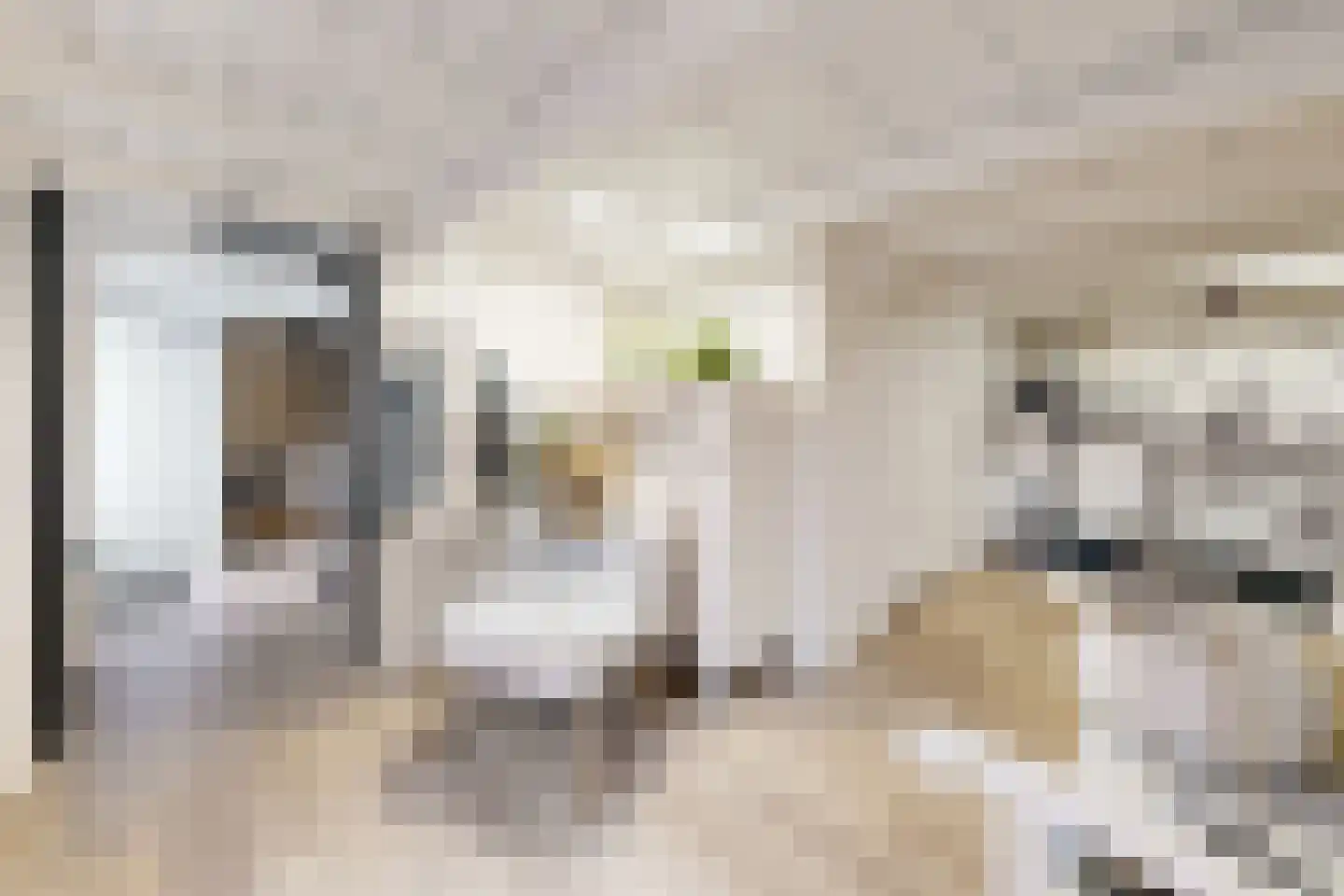 Kerkstraat 34 Zevenbergen thumbnail 41
