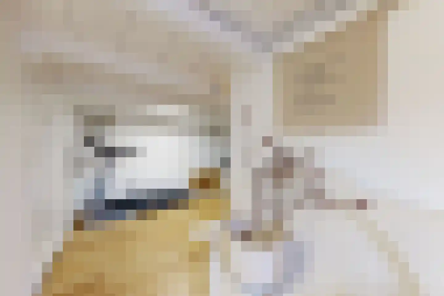 Kerkstraat 34 Zevenbergen thumbnail 42