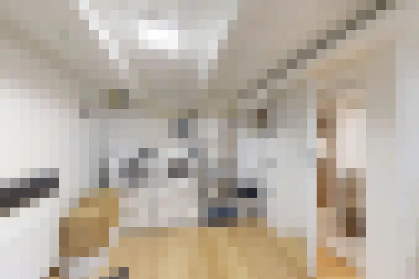 Kerkstraat 34 Zevenbergen thumbnail 43