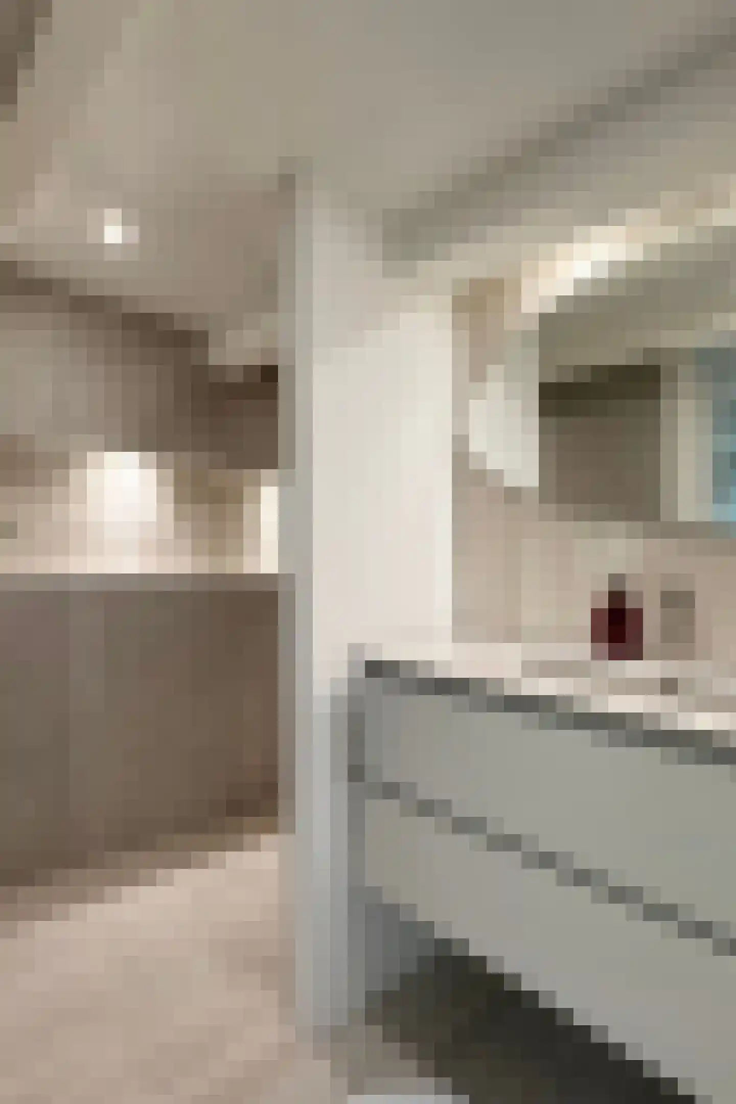 Kerkstraat 34 Zevenbergen thumbnail 47