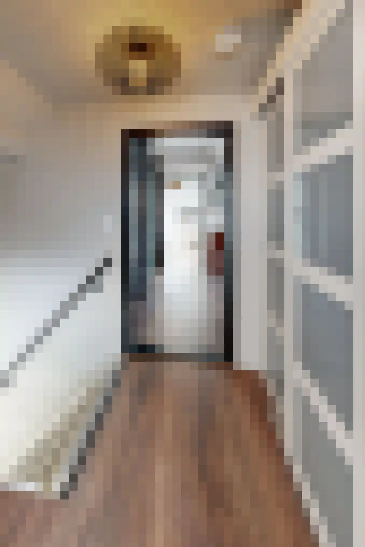 Kerkstraat 34 Zevenbergen thumbnail 49