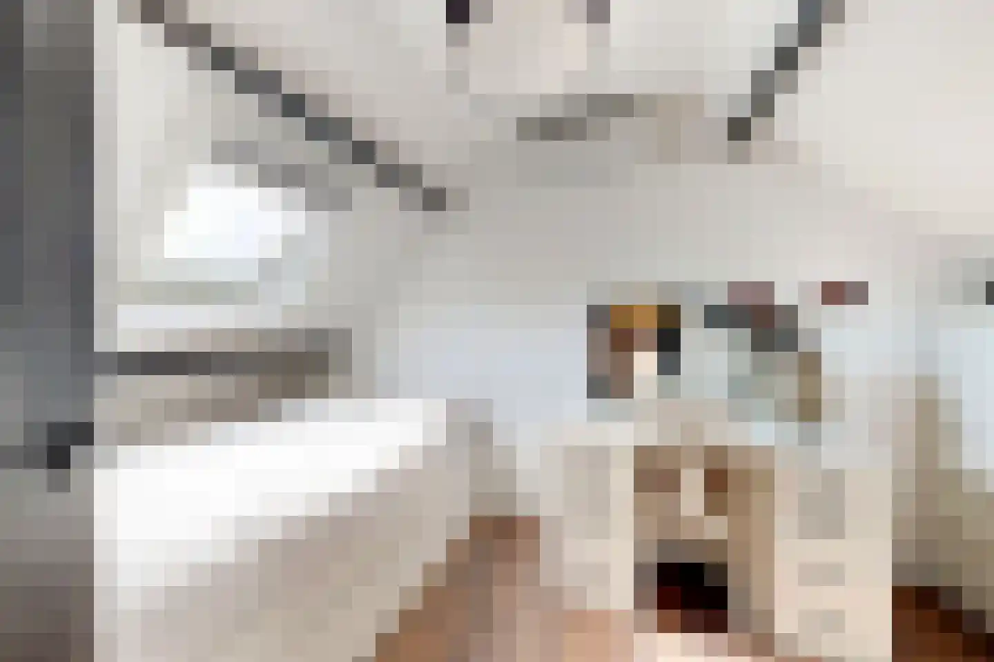 Kerkstraat 34 Zevenbergen thumbnail 58