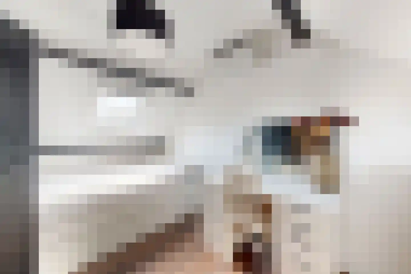 Kerkstraat 34 Zevenbergen thumbnail 59