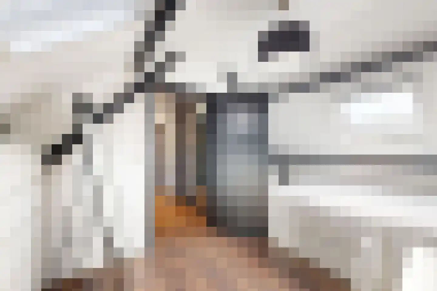 Kerkstraat 34 Zevenbergen thumbnail 61