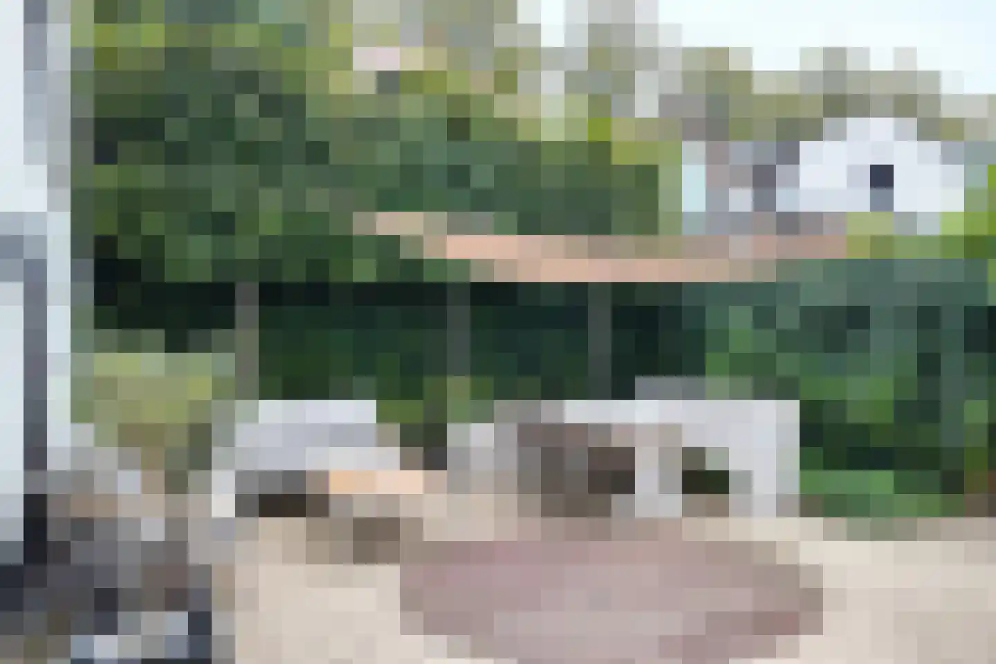Kerkstraat 34 Zevenbergen thumbnail 63