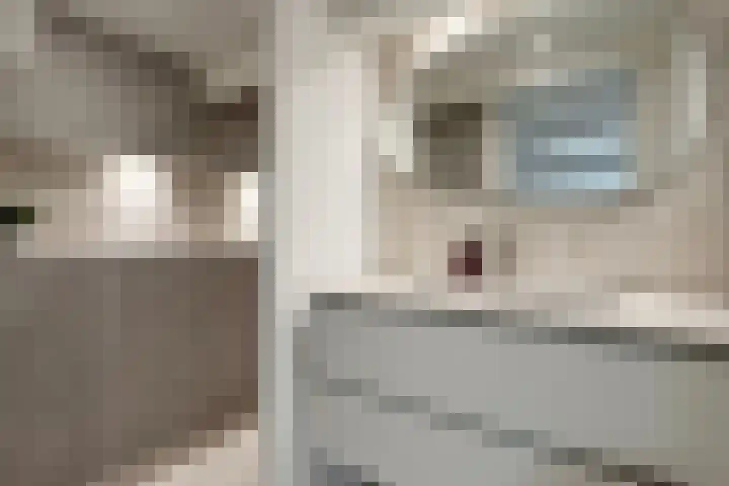Kerkstraat 34 Zevenbergen thumbnail 7