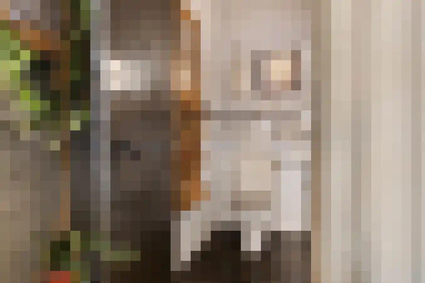 Kerkstraat 34 Zuidbroek thumbnail 32