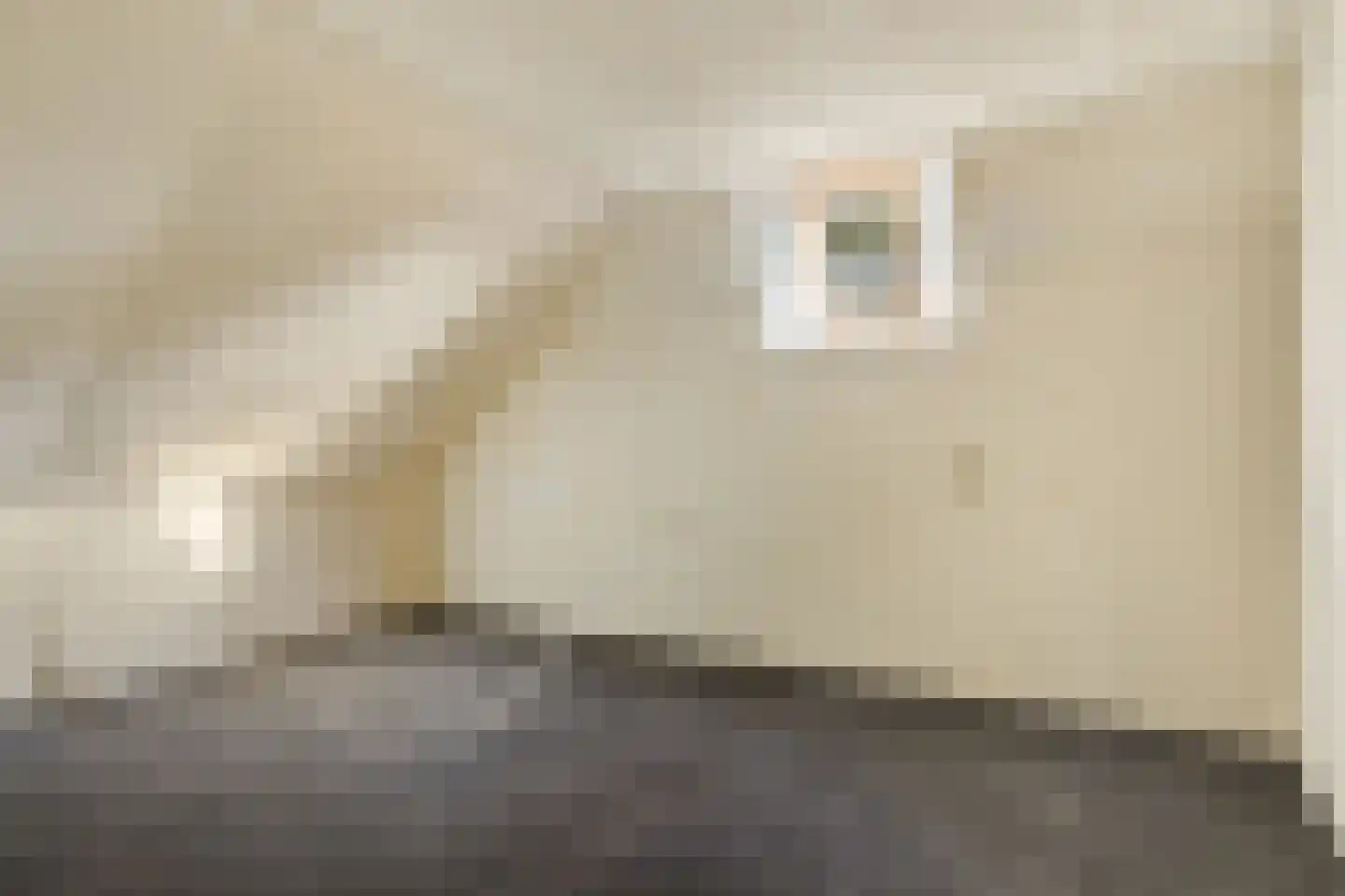Kerkstraat 34 Zuidbroek thumbnail 35