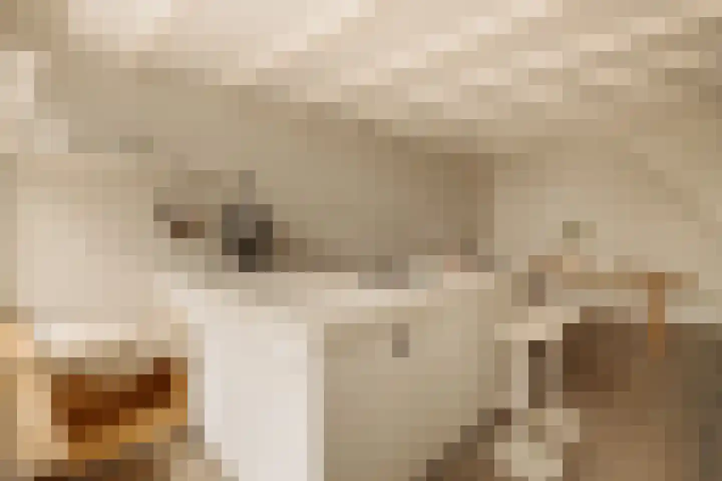 Kerkstraat 340 Amsterdam thumbnail 6