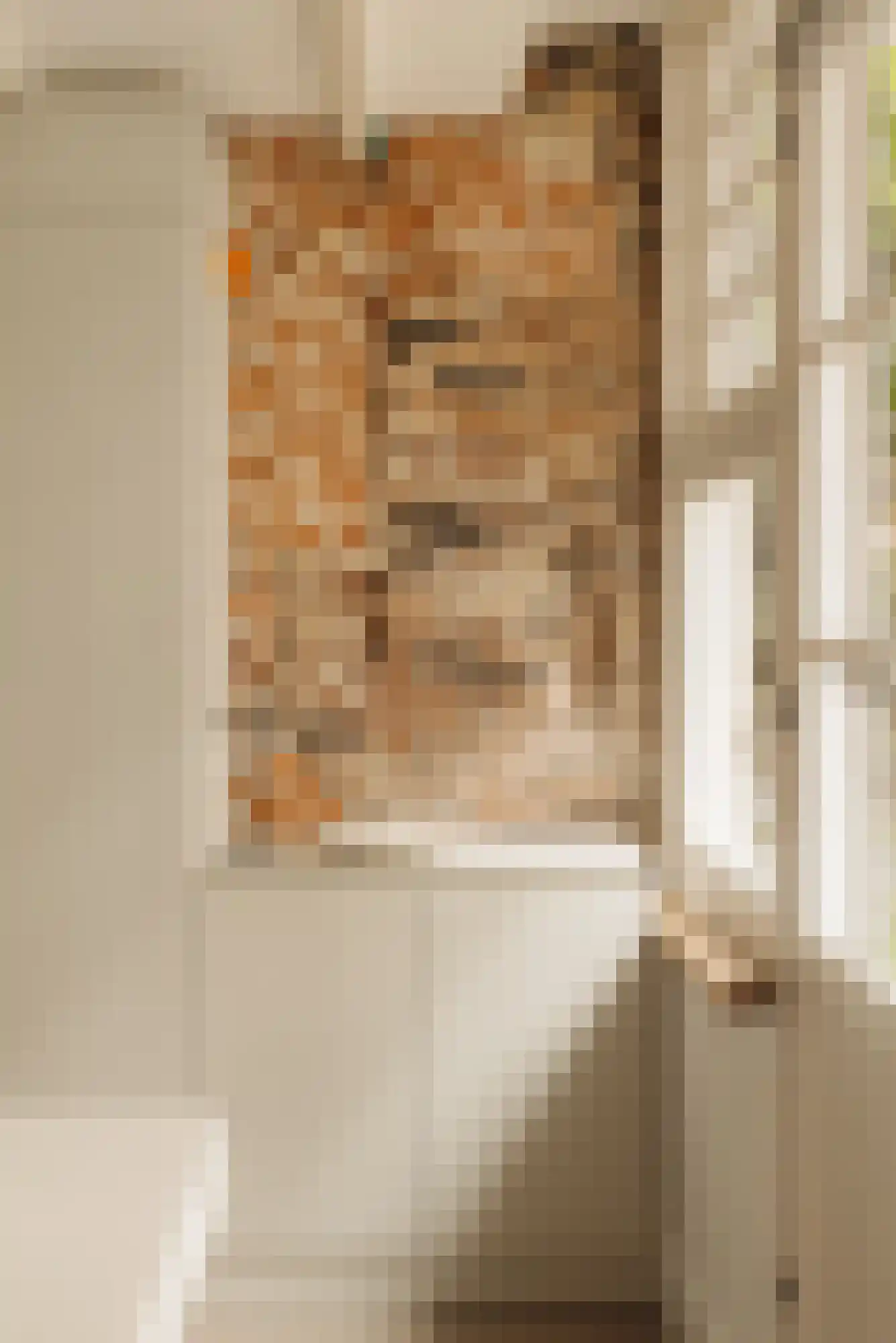 Kerkstraat 340 Amsterdam thumbnail 7