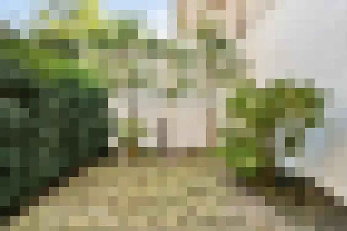 Kerkstraat 348 Amsterdam thumbnail 7
