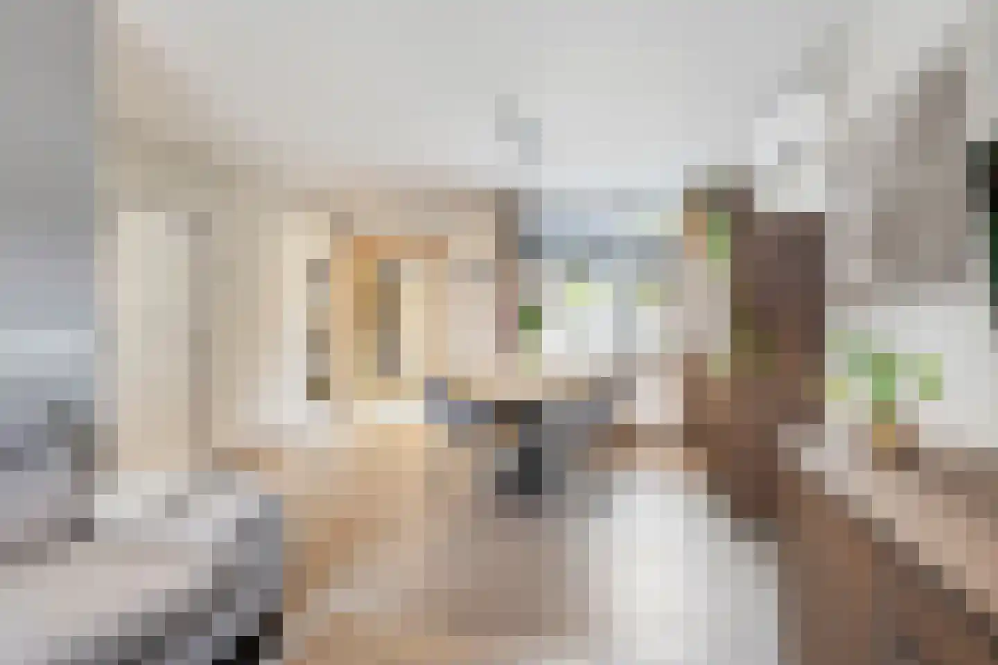 Kerkstraat 35 Asten thumbnail 11