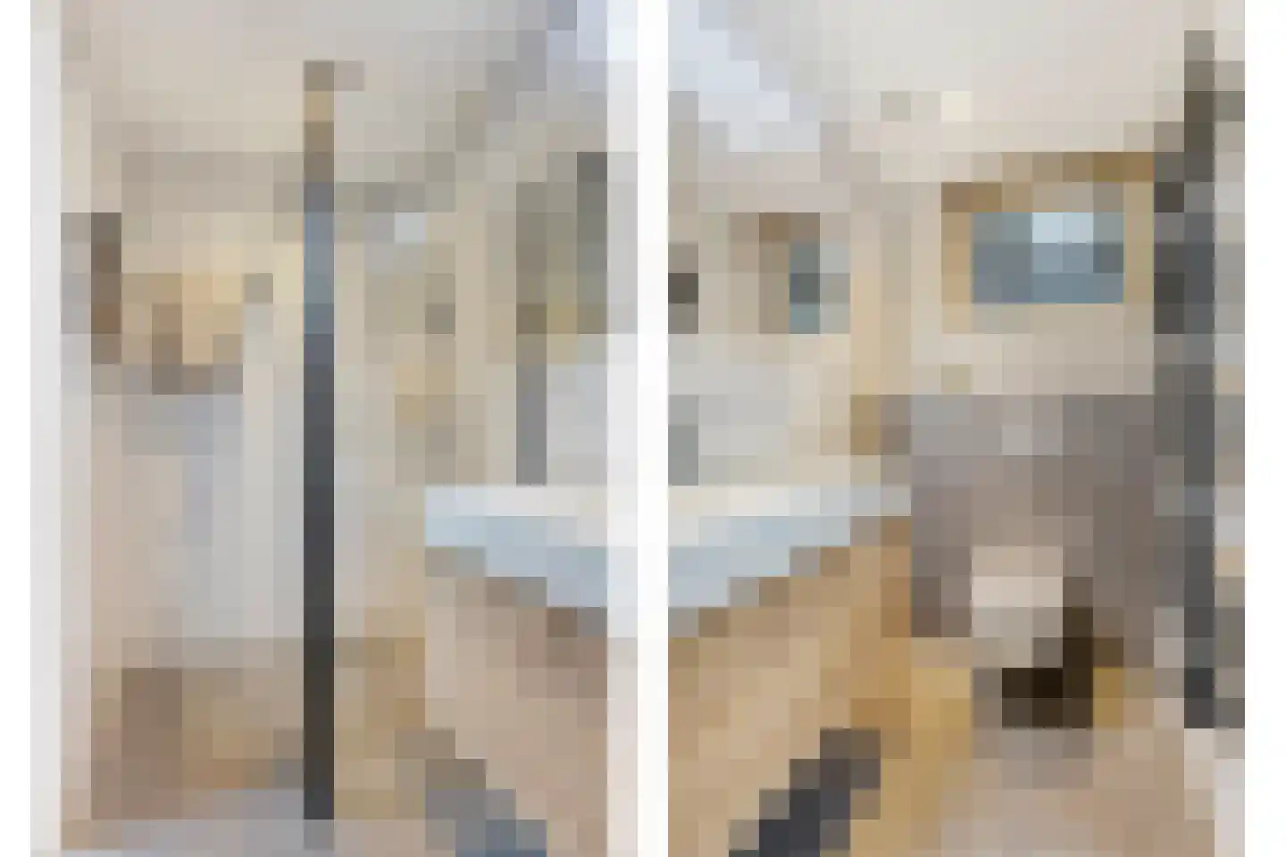 Kerkstraat 35 Asten thumbnail 4
