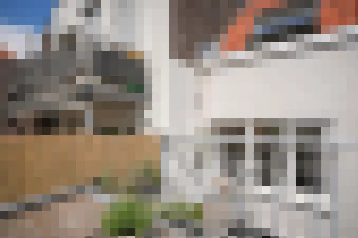 Kerkstraat 35 's-Hertogenbosch thumbnail 19
