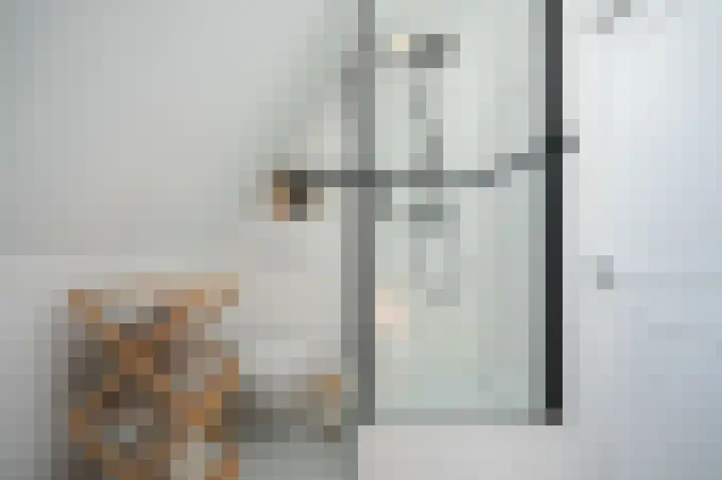 Kerkstraat 35 's-Hertogenbosch thumbnail 25