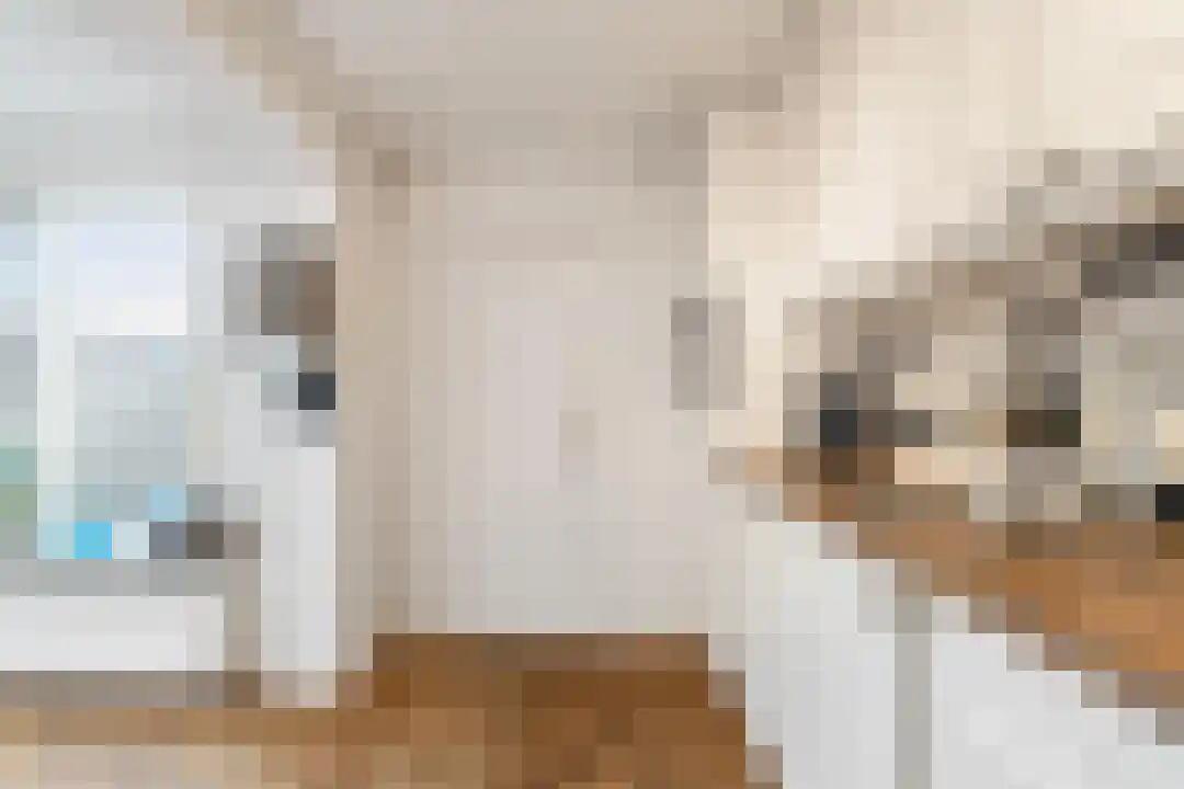 Kerkstraat 35 Slootdorp thumbnail 31