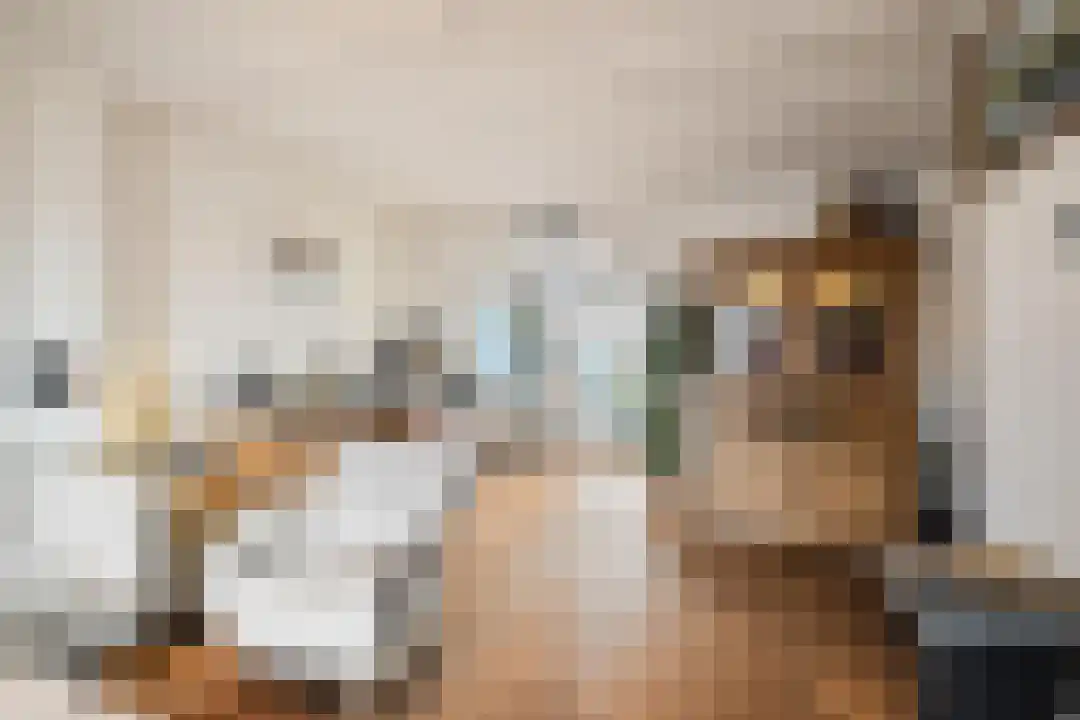 Kerkstraat 35 Slootdorp thumbnail 33