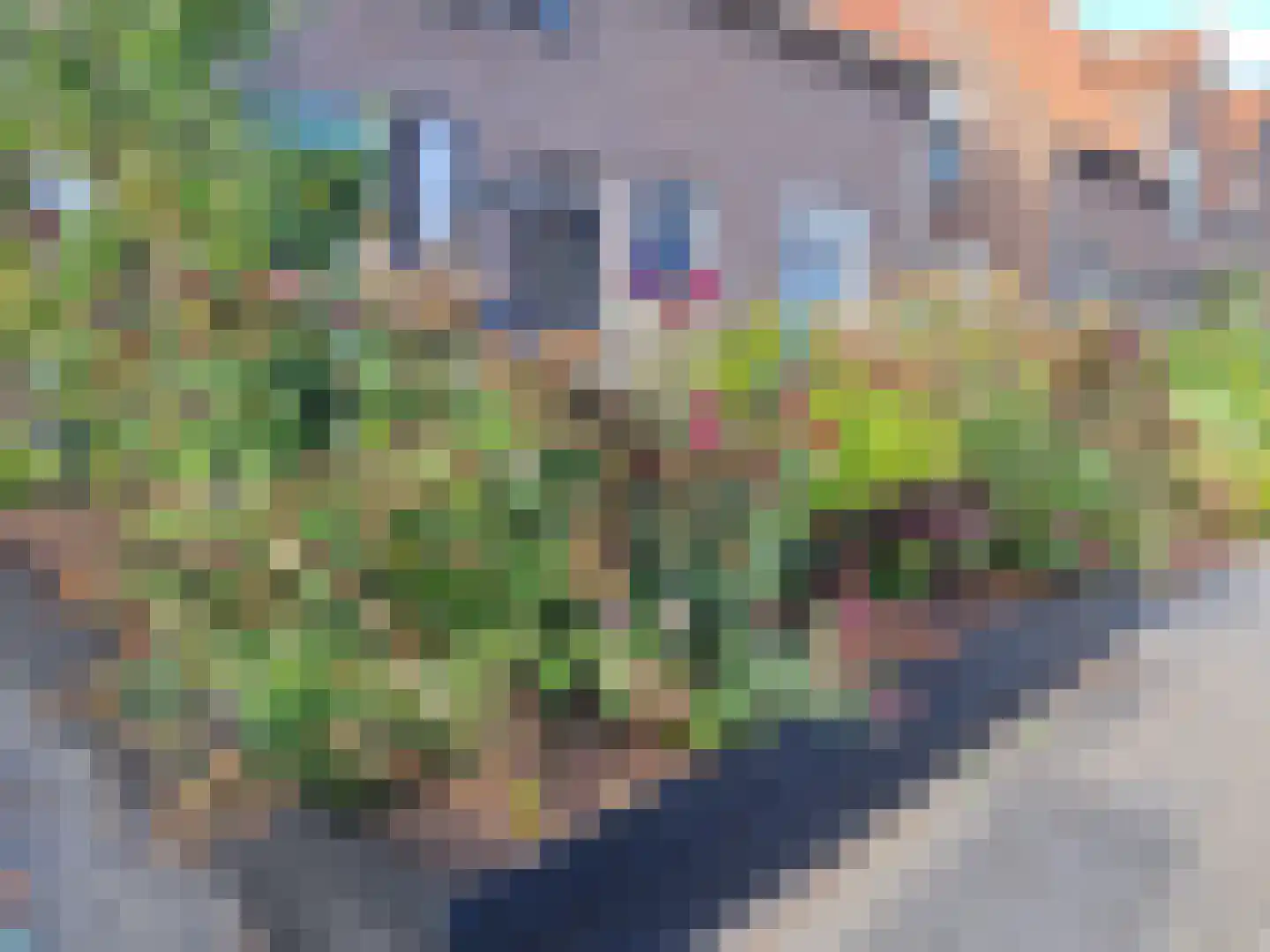 Kerkstraat 35 Slootdorp thumbnail 5