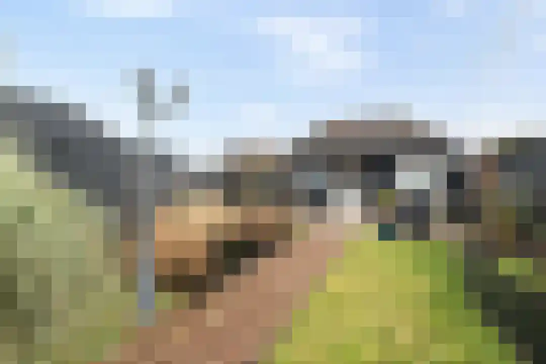 Kerkstraat 35 Slootdorp thumbnail 66