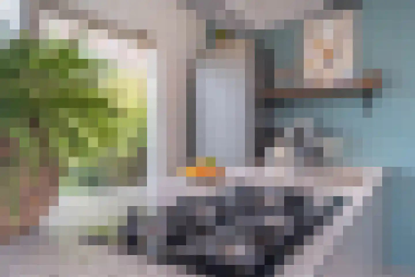 Kerkstraat 35 Stavenisse thumbnail 20