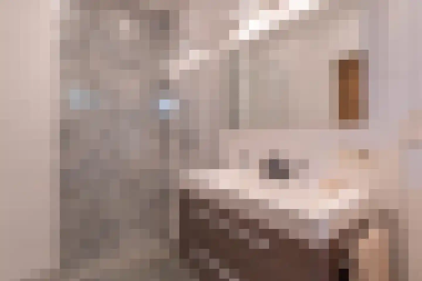 Kerkstraat 35 Stavenisse thumbnail 23