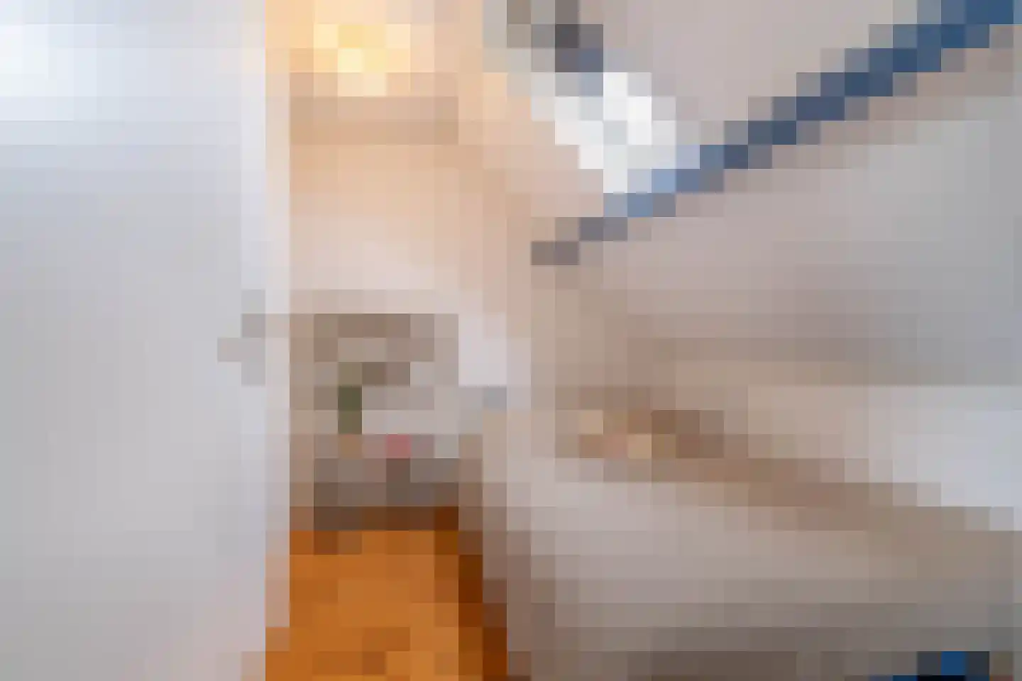 Kerkstraat 35 Stavenisse thumbnail 30