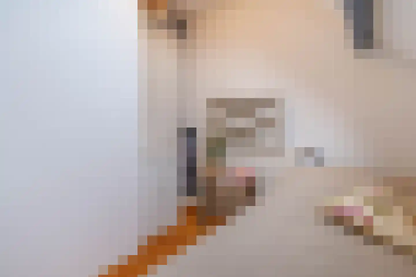 Kerkstraat 35 Stavenisse thumbnail 31