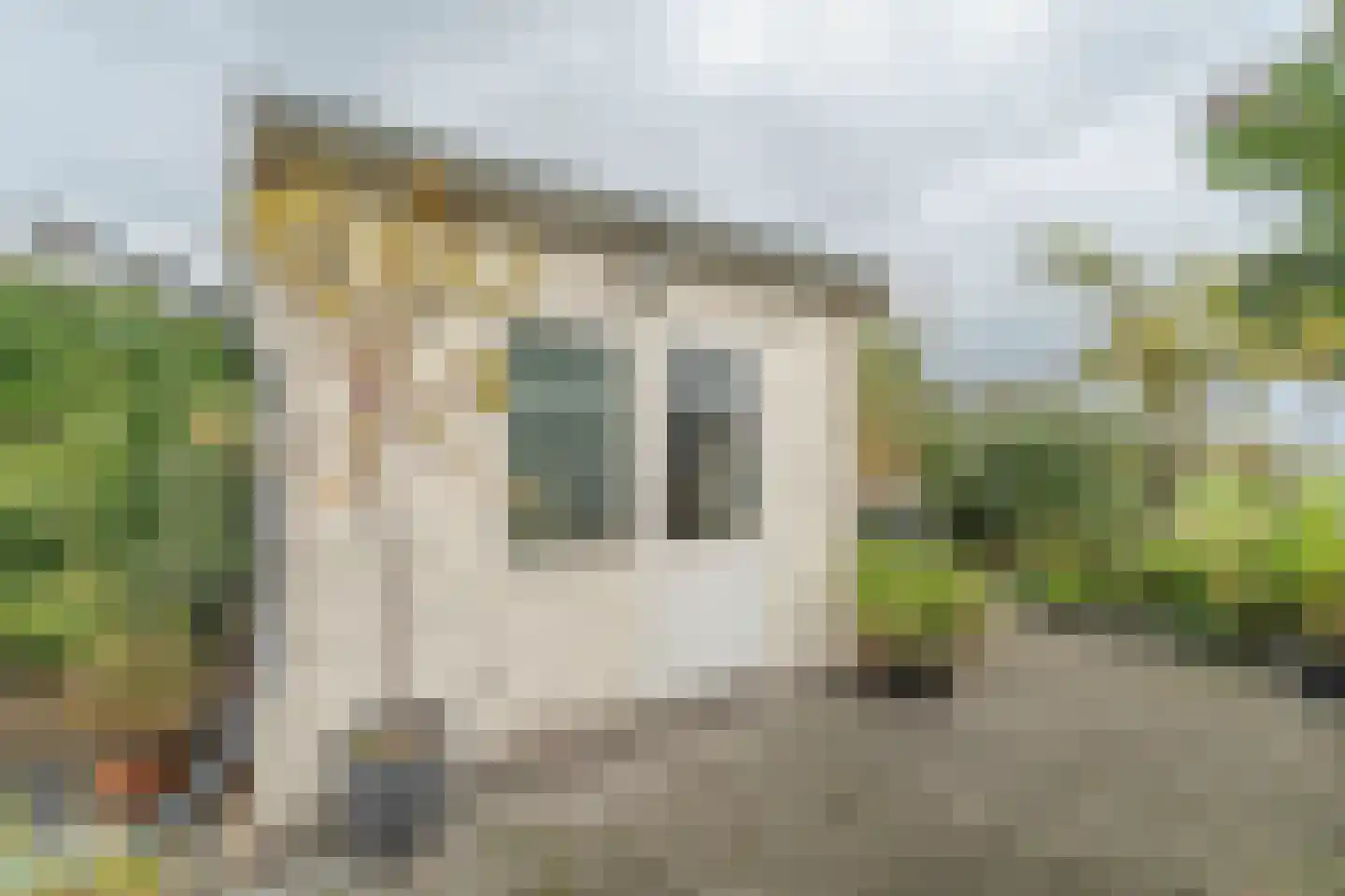 Kerkstraat 35 Stavenisse thumbnail 36